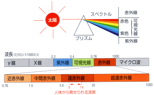 琬ObY̌ߎł